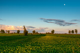 Fototapeta Łazienka - Pole uprawne w świetle zachodzącego słońca / Farmland in the light of the setting sun