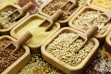 Colorful Mix Of Grain Varieties: Oat And Wheat, Rice And Millet, Buckwheat And Barley, Quinoa And Polenta. Food Ingridients Background