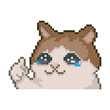 © Judith R.S - Cat with thumb up, pixel art meme