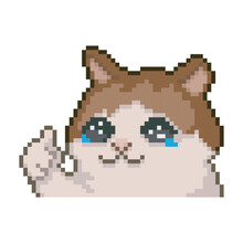 Cat With Thumb Up, Pixel Art Meme