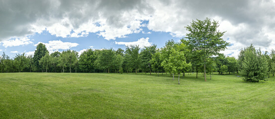 summer park scenery at cloudy day. panoramic view of green lawn and trees under cloudy sky.