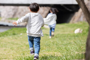 Wall Mural - 桜の咲く公園を走る男の子の後ろ姿