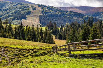 Sticker - wooden fence near fields on hills with forest. countryside. landscape type