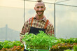 © Prathankarnpap - Friendly millennial farmer in apron holding crate of seedlings ready for planting in greenhouse. Agriculture business concept