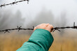 Barbed wire fence at the Chernobyl exclusion zone, Ukraine