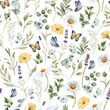 Watercolor Wildflowers Seamless Pattern. Repeating Print. Daisy, Calendula, Lavender, Eucalyptus Branches And Leaves. Summer Floral Background For Wrapping, Greeting Cards And Invitations	
