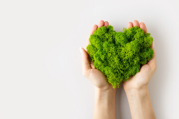 world earth day concept with green plant heart on blue background,