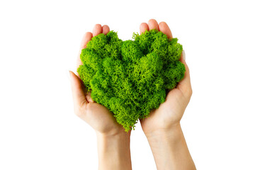 World earth day concept with hands holding green plant heart on transparent background , flat lay, top view, banner