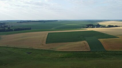 Poster - Sown fields on valley hilly slopes in morning, aerial view