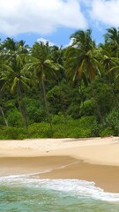 Wall Mural - beautiful landscape with sea waves on tropical beach and coconut palms. vertical video