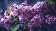 canvas print picture - Lilac branches close-up on a blurred background, generative AI.