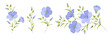 Set of differents flower linen on white background. 
