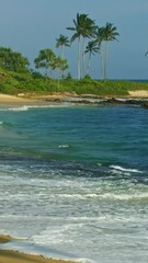 Wall Mural - landscape with sea waves and shadow of palm on tropical beach at evening. vertical video