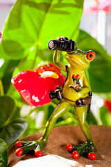 Photographer frog holding a photo camera in bright red colors.