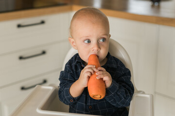 Little boy in a blue t-shirt sitting in a child's chair eating carrot - baby care and infant child feeding concept