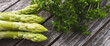 Green asparagus and fresh parsley on rustic gray wooden planks. Close-up with short depth of field. Background for healthy gastronomy with space for text.