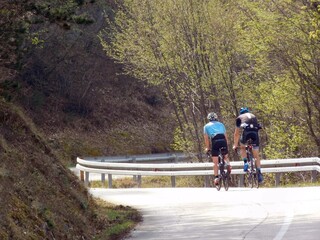 Wall Mural - road