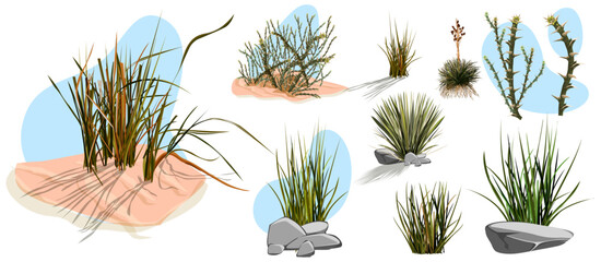 Tumbleweed, cactuses and rocks of sand desert in Africa. Vector cartoon set of stones, rolling dry bush, tropical green tree and desert plants isolated on white background