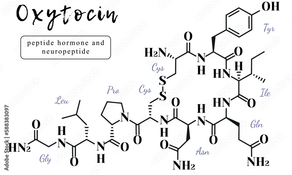 Oxytocin Math oxytocin formula, amor formulae, chemical formula of hormones Stock ...