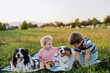 © Halfpoint - Little children with collies outdoor, having picnic.