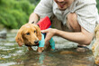 愛犬と川で遊ぶ男性