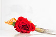 Close up red rose and ear of wheat for Diada de Sant Jordi. Tradition of St Jordi Day in Catalonia. Catalan book and rose flower day. Horizontal copy space with white background.