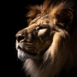 Close up portrait of side view lion's face on black background. lion head. king of jungle. Generative AI.