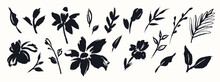 Abstract Vector Flowers And Leaves Drawn With Ink Brush. Black Plant Elements Isolated On White Background