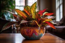Croton With Colorful, Variegated Leaves In A Bold And Vibrant Ceramic Pot In A Colorful And Eclectic Apartment. Generative AI