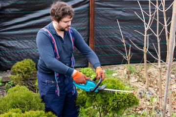 Wall Mural - Young man gardener trimming and landscaping green bushes.