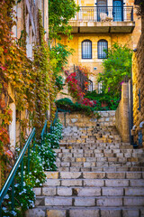  Old building decorated with plants
