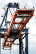 Shipping container gantry crane in an industrial port.