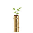 Digital image of stack of gold coins and plant