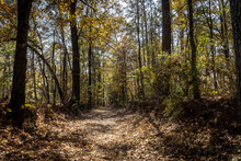 Old Trace On The Natchez Trace Parkway. Trail Was Created And Used By Native Americans For Centuries, And Was Later Used By Early European And American Explorers, Traders, And Emigrants. Fall Colors. 