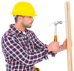 Wall Mural - Handyman using hammer on wood 