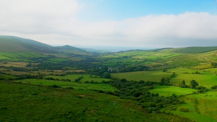 Wall Mural - Scenic view of green landscape