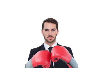 Wall Mural - Businessman with boxing gloves