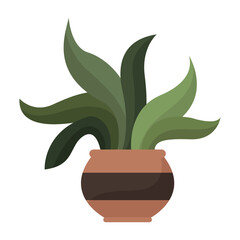 Poster - tropical houseplant in pot