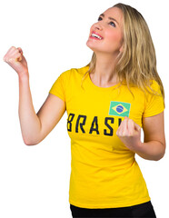 Sticker - Excited football fan in brasil tshirt