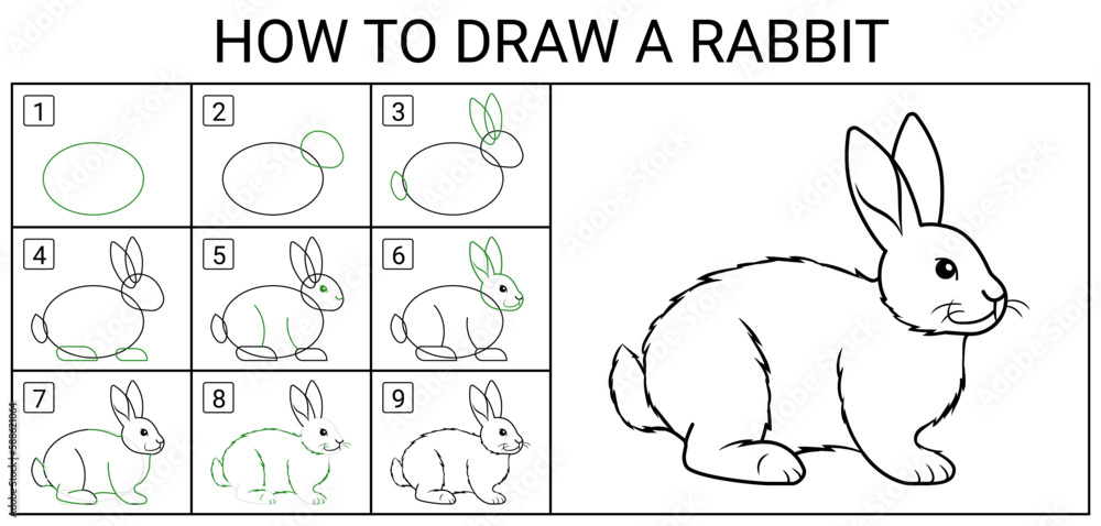 Vector de Stock How to draw a rabbit? - 9 steps how to draw a rabbit ...