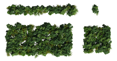 Wall Mural - trees in the forest, top view, area view, isolated on transparent background, 3D illustration, cg render
