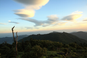 Wall Mural - fantastic cloud from the top of a mountain