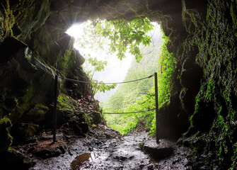 Wall Mural - Tunnel in Madeira on walk hiking trail, Levada Caldeirao Verde