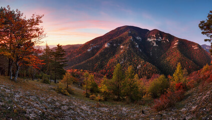 Aufkleber - Panorama landscape at sunset with autumn forest, rocks, sun and mountain.