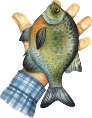 Fish in hand. Fisherman's catch. watercolor illustration isolated on white background.