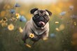 An adorable pug with a happy expression, discovering a wild meadow and its flowers. Capturing the spontaneity and playfulness of the moment. Created with generative A.I. technology.