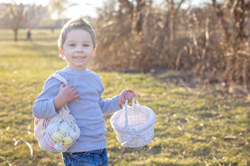 Wall Mural - Cute toddler boy, gathering easter colorful eggs in a basket in the park