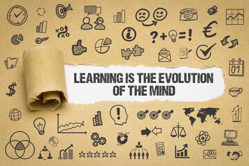 Sticker - Learning is the evolution of the mind	