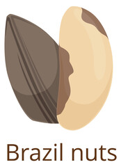 Poster - Brazil nut icon. Vegan raw snack. Cartoon food