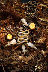 Wall Mural - animal skulls, snake skeleton, candles, crystals in dry plants stems, abstract natural dark background. Witch altar. pagan, Wiccan, Slavic traditions. Witchcraft, esoteric spiritual ritual. top view